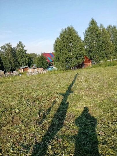 Участок 6 сот. (СНТ, ДНП)