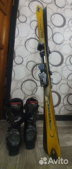 Горные лыжи