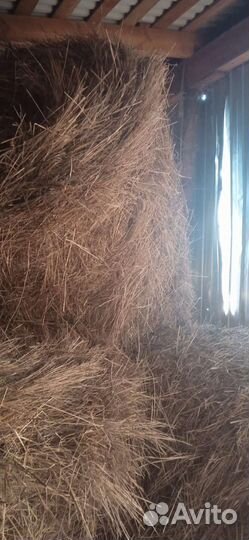 Сено в тюках