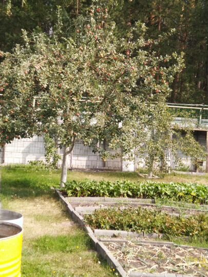 Участок 9,2 сот. (ИЖС)