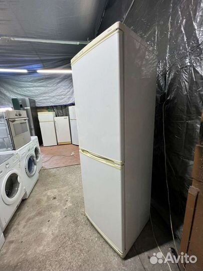 Холодильник бу snaige 185/60/60