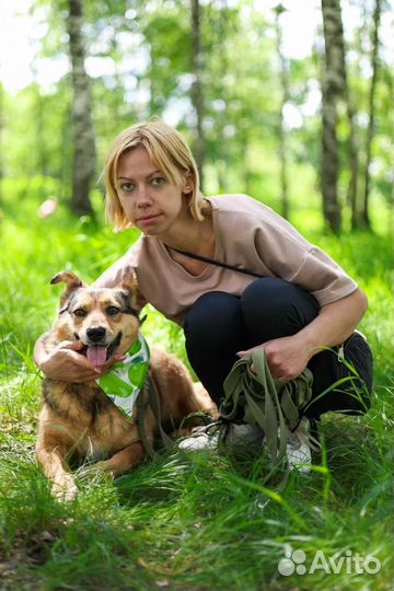 Собака в добрые руки отдам бесплатно