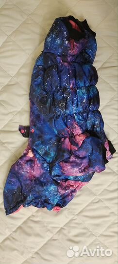 Комбинезон для собаки фирмы Lorridens