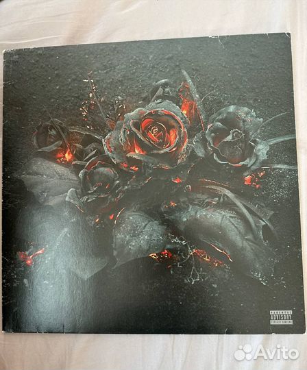 Виниловая пластинка Future Evol