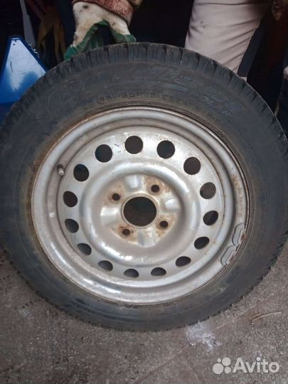 Cordiant Polar 185/65 R15