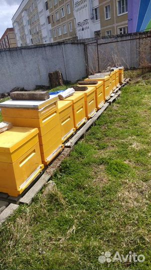 Мёд. С доставкой