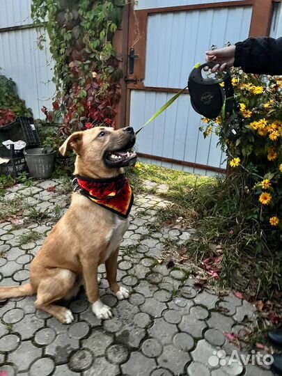 Малыш Кенни