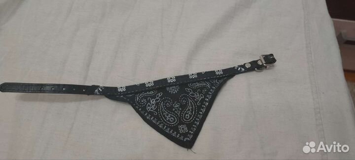 Ошейник для собак