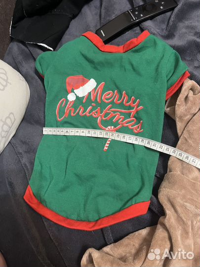 Одежда для маленьких собак