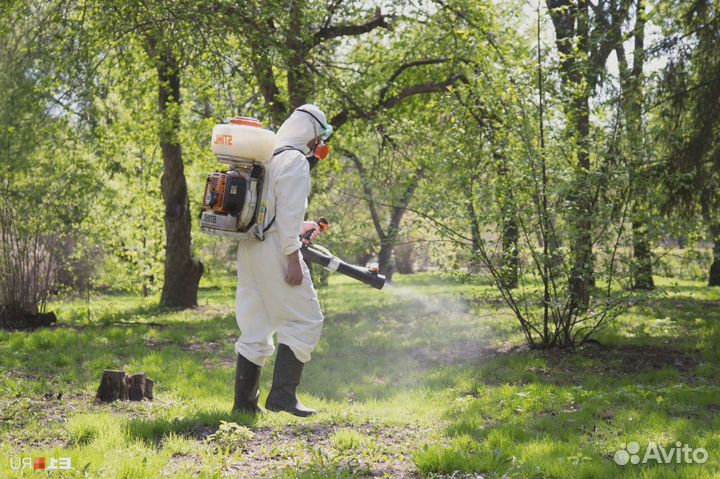 Уничтожение тараканов клопов запахи