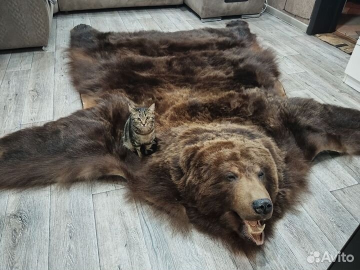 Шкура медведя имитация