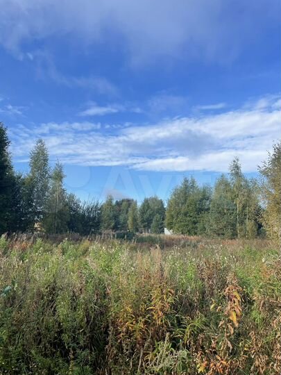 Участок 21 сот. (СНТ, ДНП)