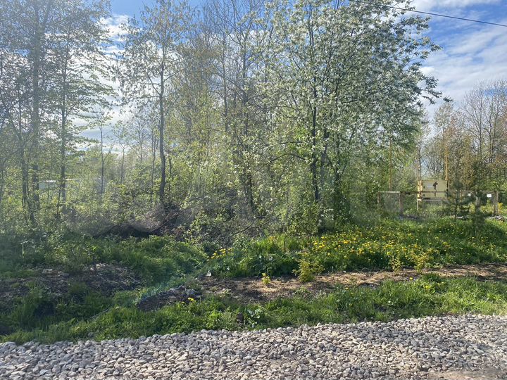 Участок 4,7 сот. (СНТ, ДНП)