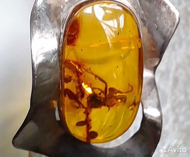 Исклюз в янтаре серебро