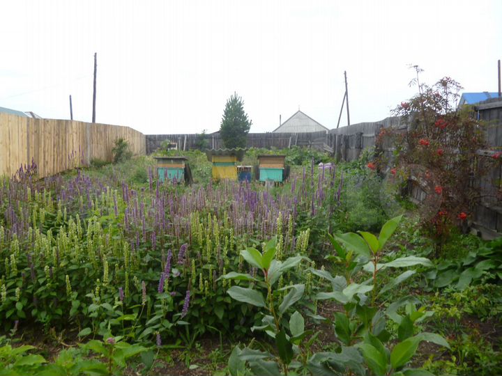 Участок 7 сот. (СНТ, ДНП)