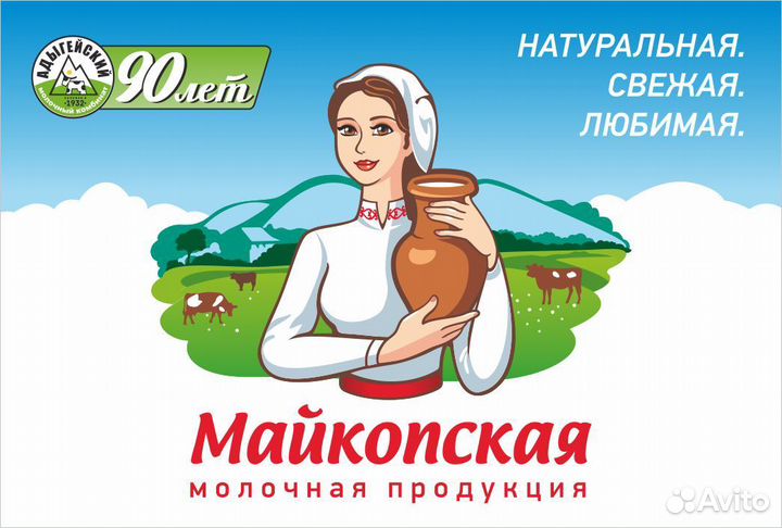 Водитель-экспедитор В