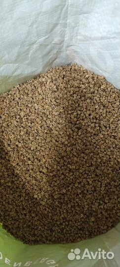 Семена кормовой свеклы Бригадир