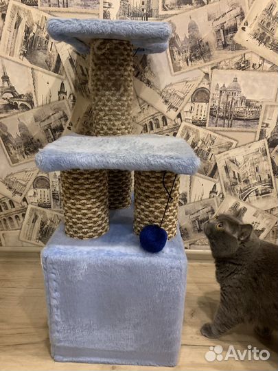 Домик для кошки с когтеточкой