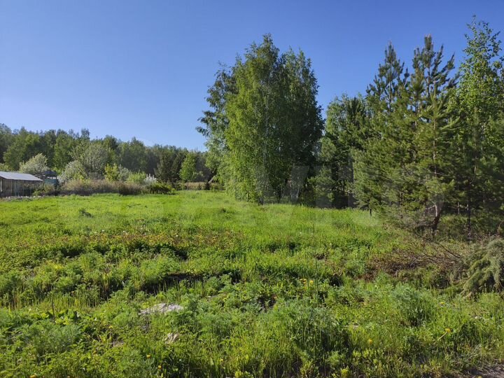 Участок 15 сот. (СНТ, ДНП)