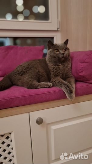 Подушки и матрасы на подоконник, балкон