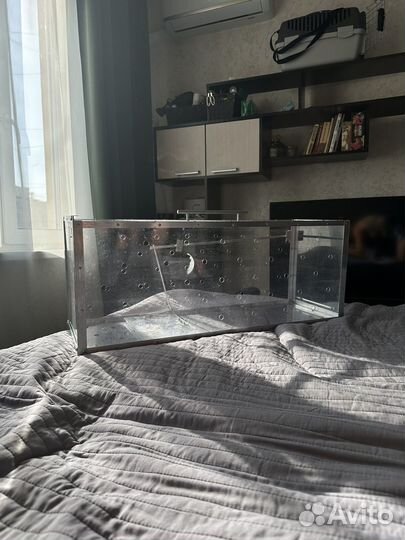 Котоловка аренда