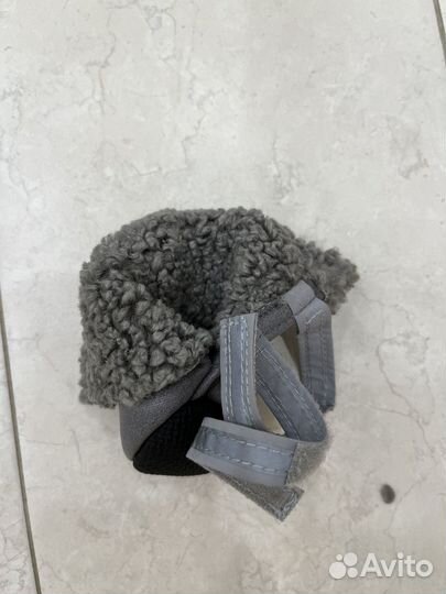 Обувь для собак