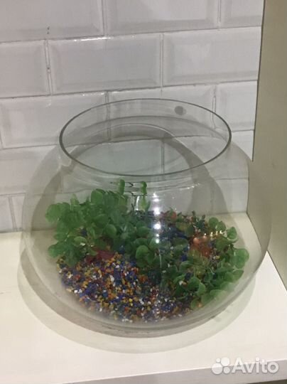 Аквариум