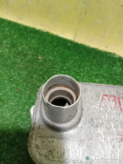 Радиатор масляный Volkswagen Tiguan NF 2011