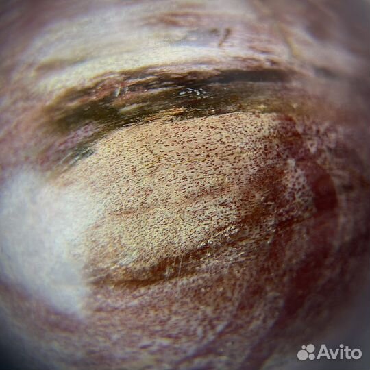 Шар из окаменелого дерева окаменелость ископаемое