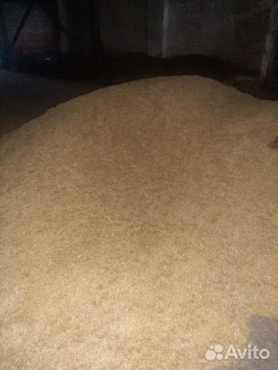 Зерно пшеница ячмень