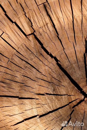 Лиды/заявки для Пилорамы