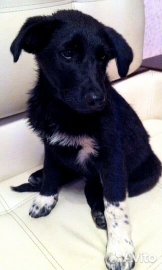 Крутые ребята