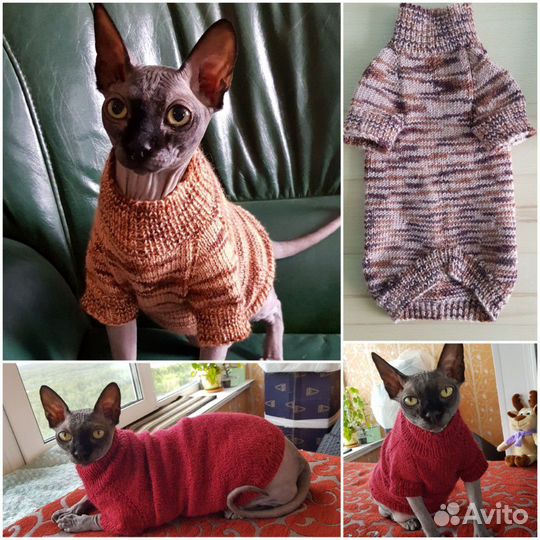 Тёплая одежда для сфинкса кошки питомца. Новая