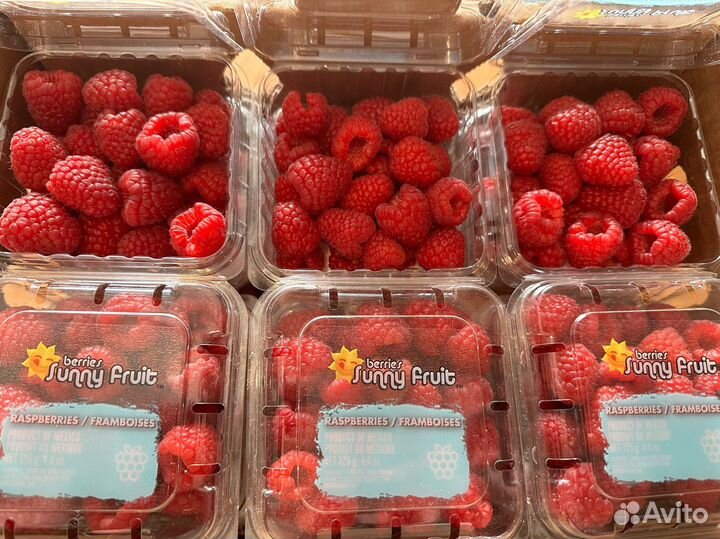 Ягоды: клубника,малина,голубика,ежевика