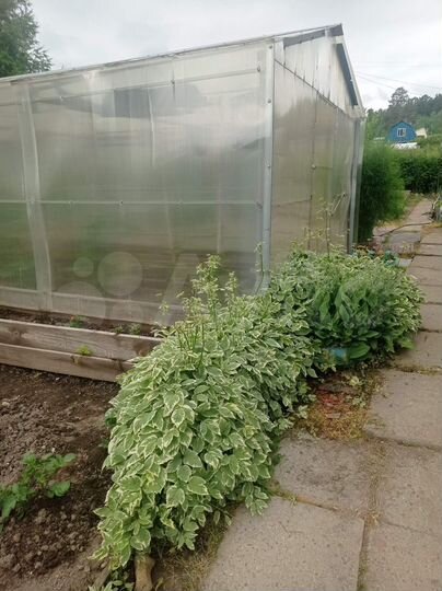 Дача 30 м² на участке 4,5 сот.