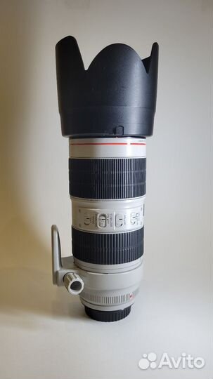 Canon ef 70 200mm f 2.8l is iii usm