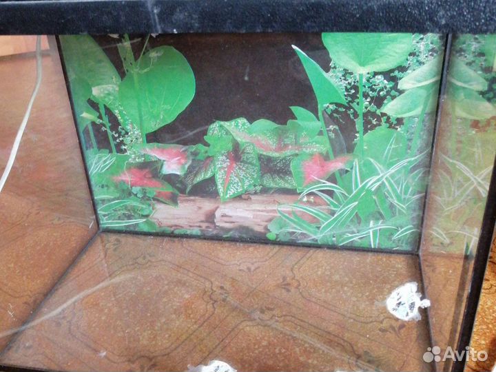Аквариум