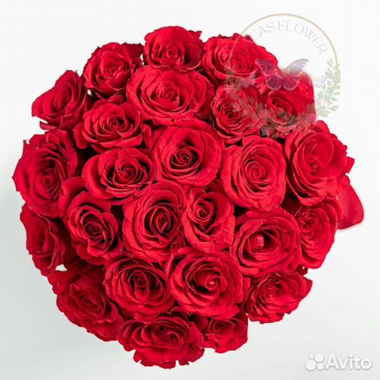 Розы. Букет цветов. 25 31 51 101