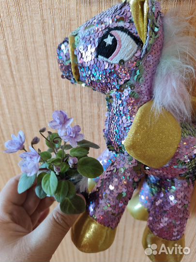 Фиалки сортовые листья