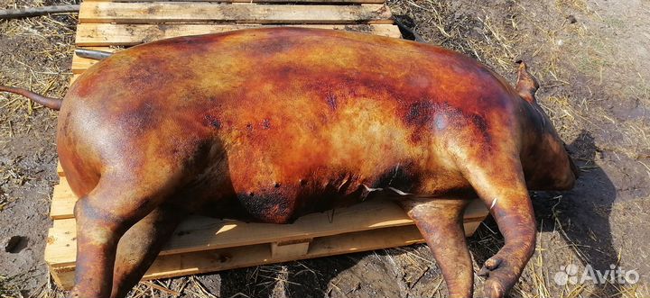 Мясо свинина домашняя