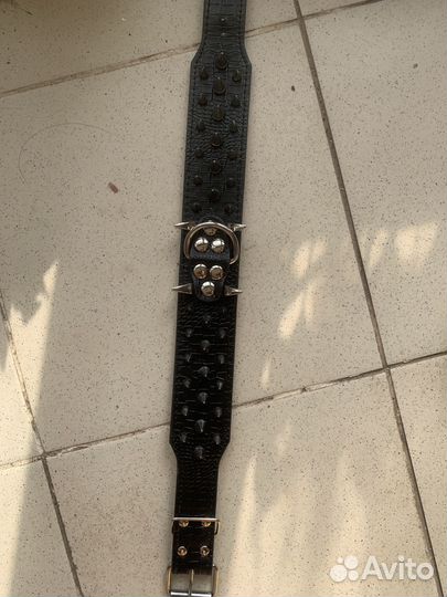 Ошейник для собаки