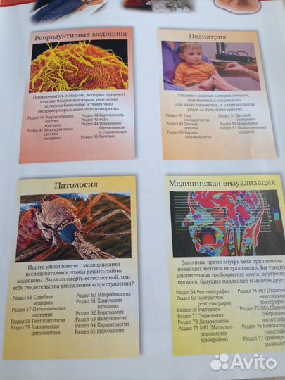 Тело человека