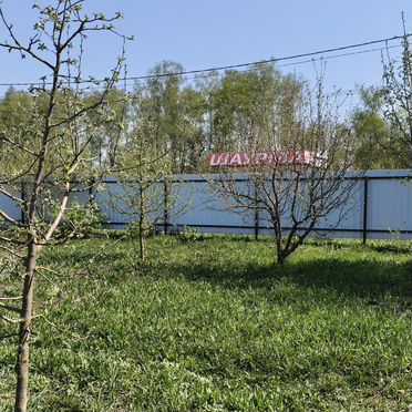 Дача 50 м² на участке 6 сот.