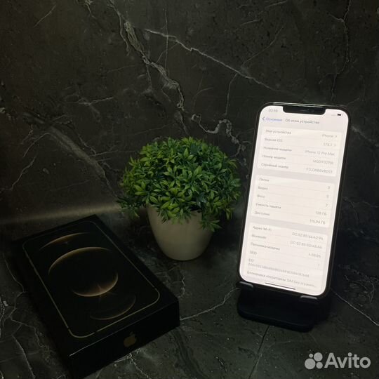 iPhone 12 Pro Max, 128 ГБ