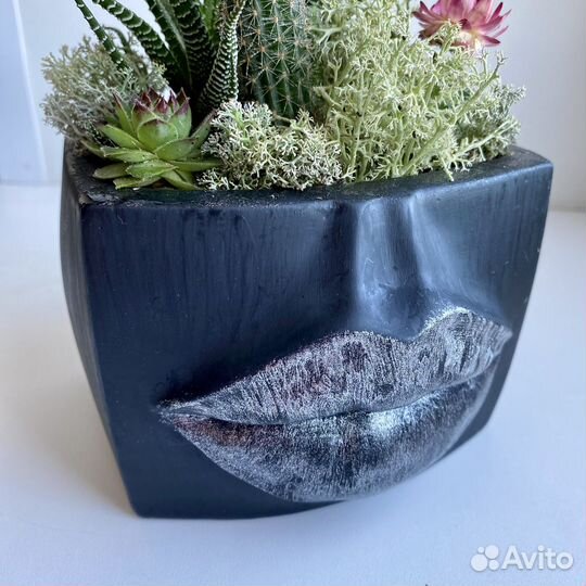Кашпо с кактусами