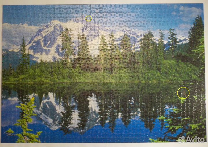 Пазлы 1500 деталей