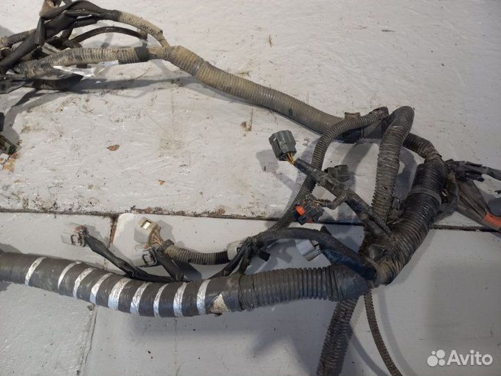 Проводка двигателя Suzuki Grand Vitara J20A 2011