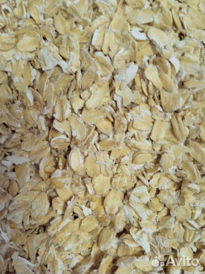 Корм для кур-несушек