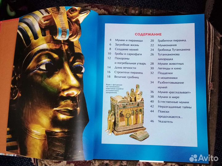 Детская энциклопедия биология и мумии и пирамиды