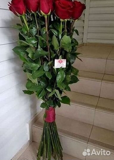 Высокие розы, букеты, цветы Доставка Доставка
